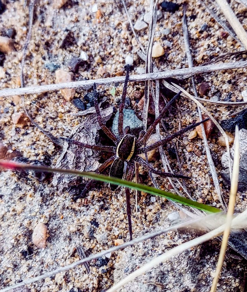 Photograph by Светлана Перминова