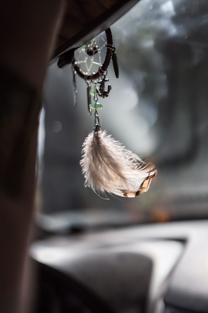 Photograph by Марина Моисеева