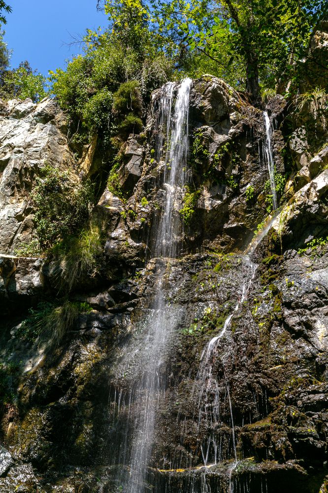 Photograph by Ирина Бородовская