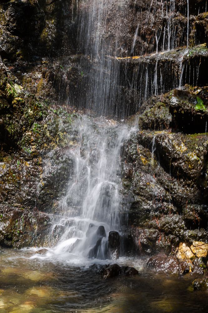 Photograph by Ирина Бородовская