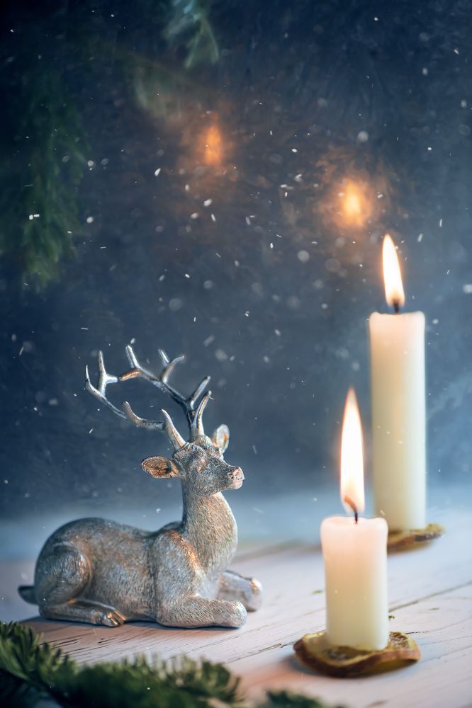 Photograph by Ольга Ильина