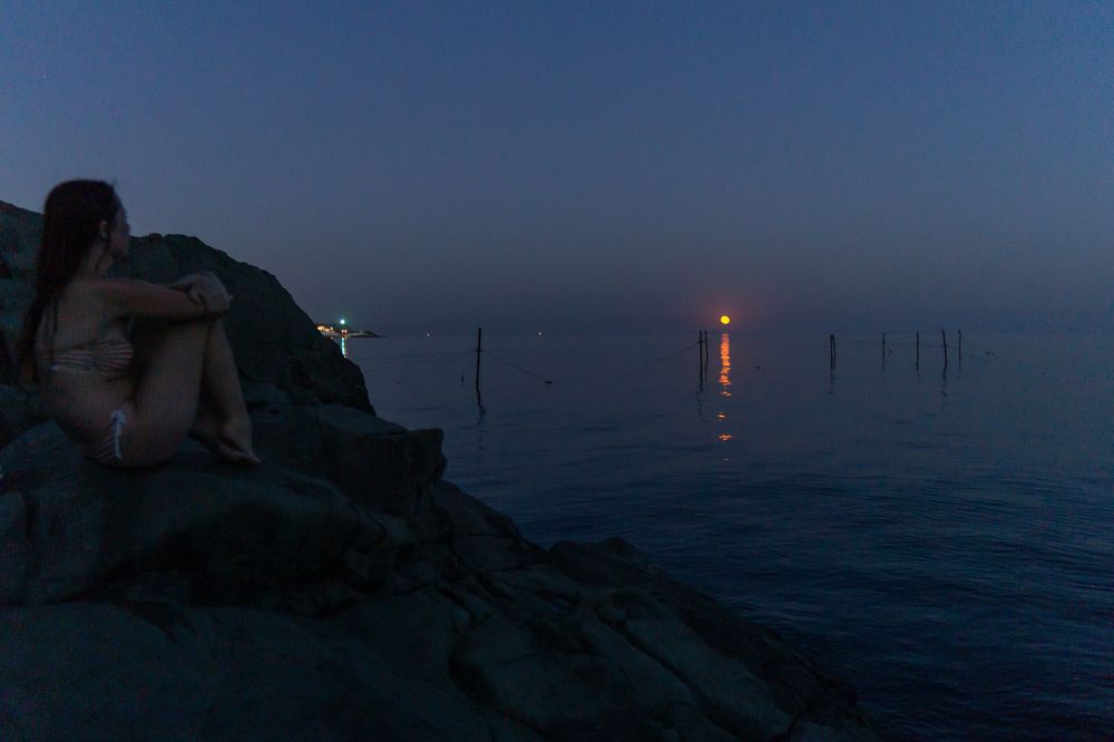 Photograph by Алексей Орнатский