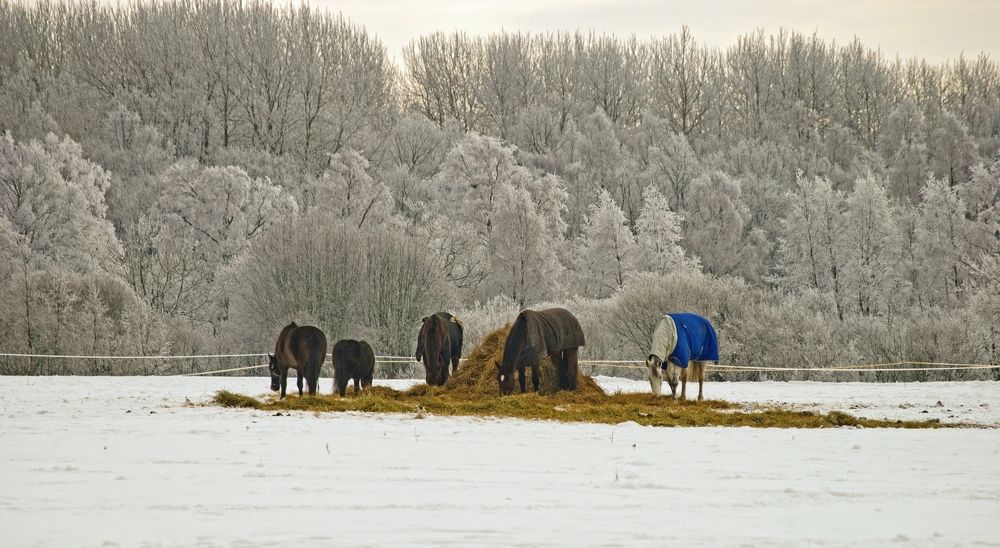 Фотография автора Юрий Макаров