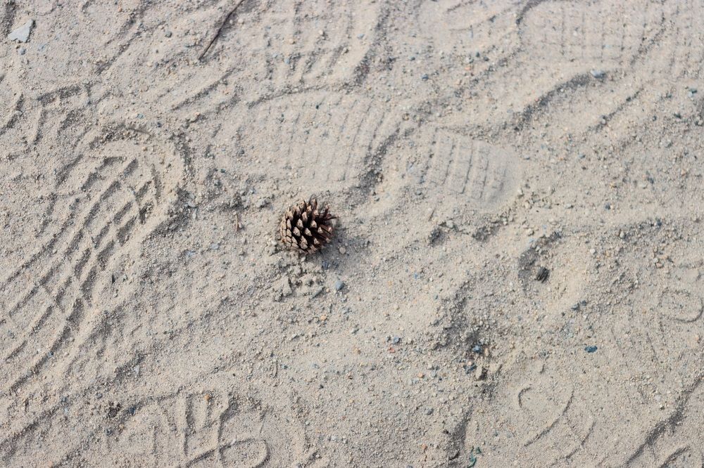 Photograph by Марина Моисеева