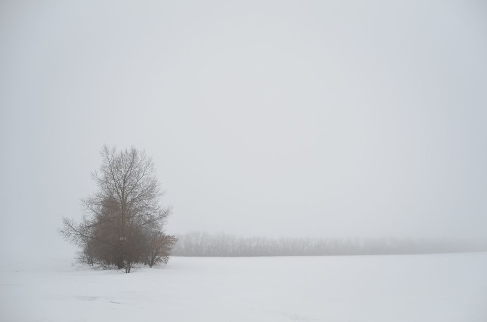 Photograph by Евгений Королев