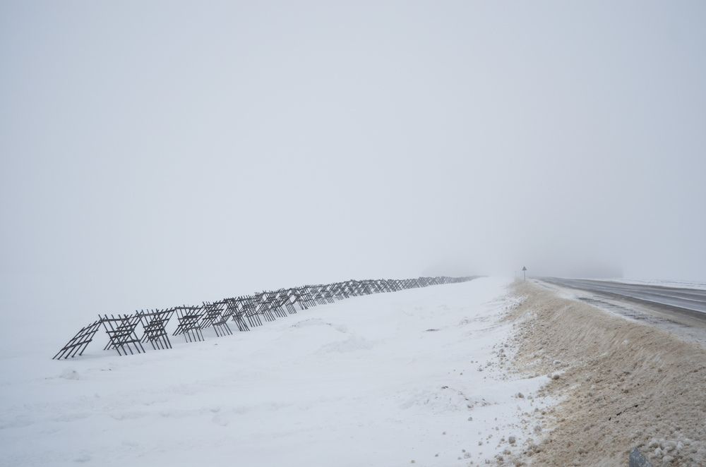 Photograph by Евгений Королев
