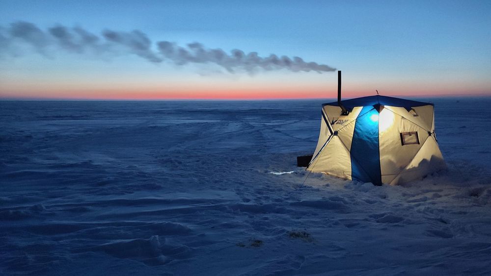 Photograph by Алексей Егорычев