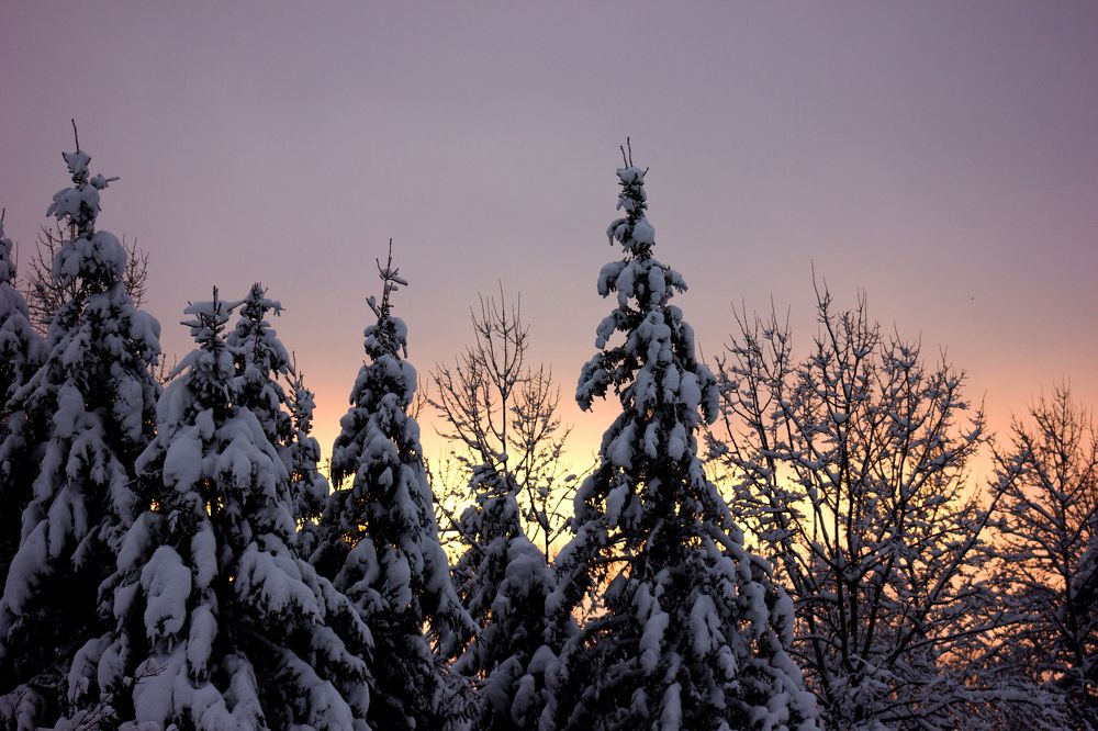 Photograph by Steven Valkenberg