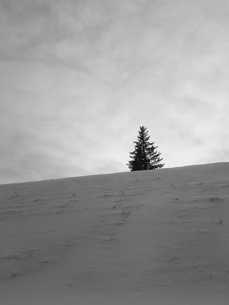 Photograph by Зоя