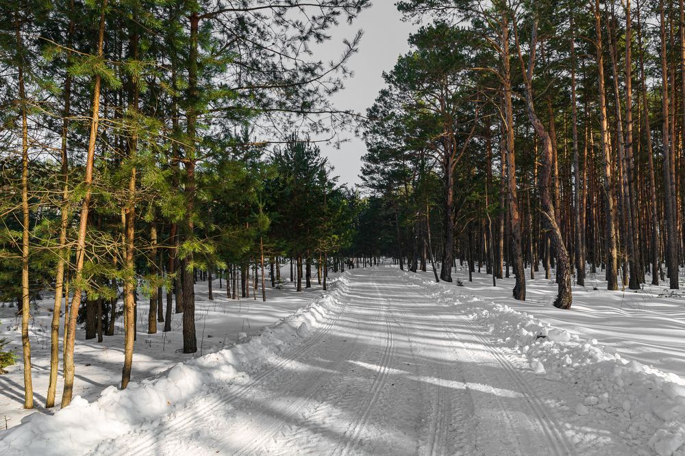 Photograph by Ирина Бородовская