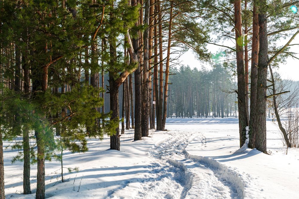 Photograph by Ирина Бородовская