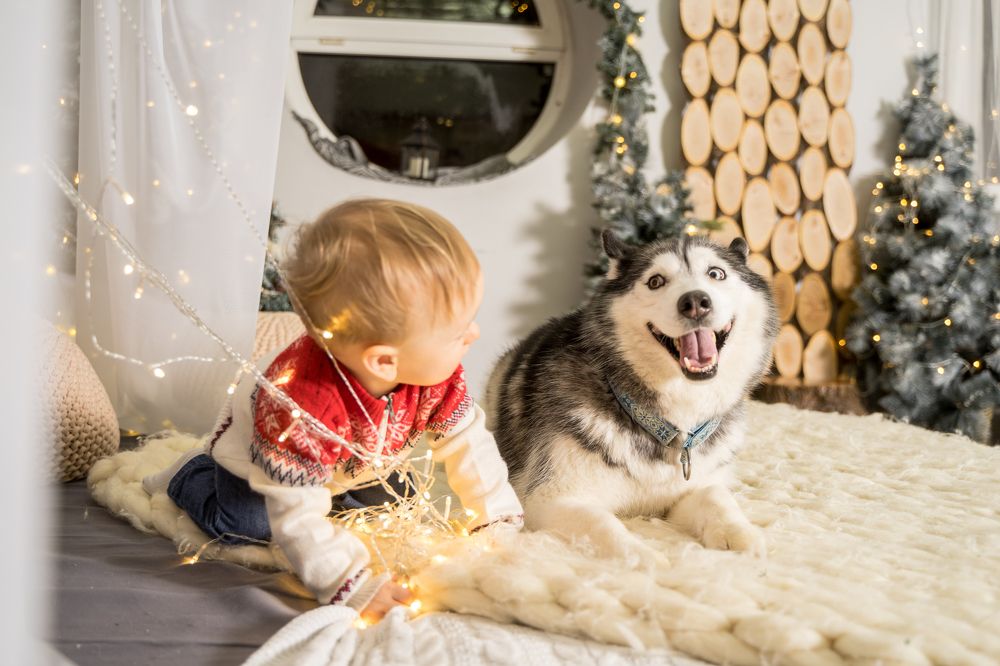 Фотография автора Василиса Новикова