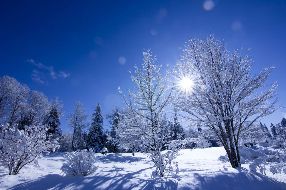 Photograph by Steven Valkenberg