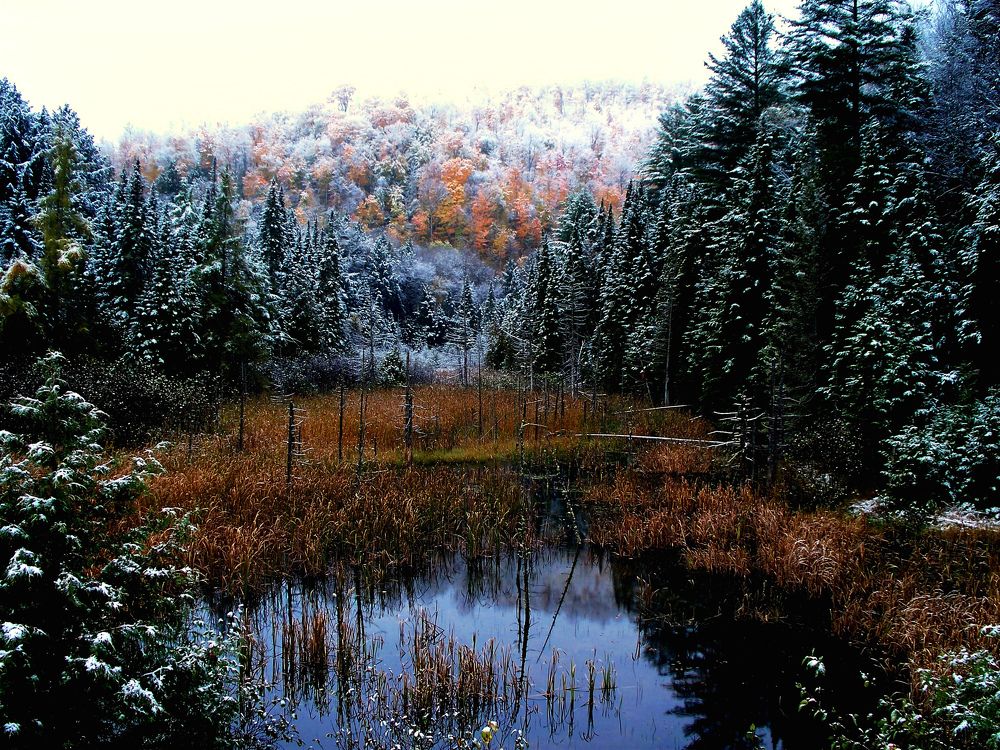 Photograph by Steven Valkenberg