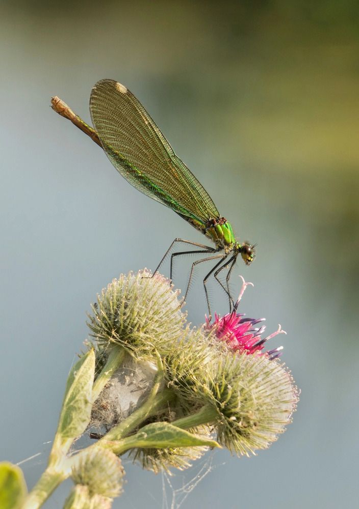 Photograph by Евгения Тимофеева