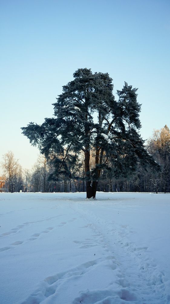 Фотография автора Slim Soyadi