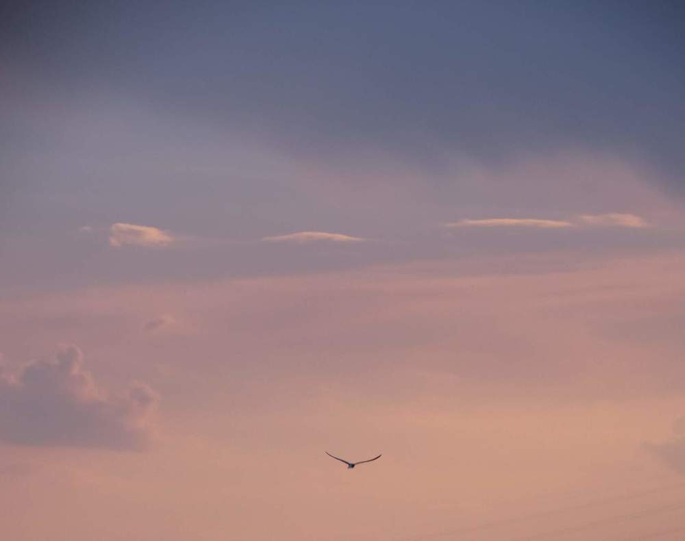 Photograph by Анжелика Трошина