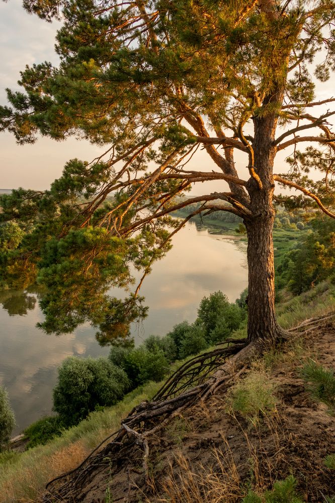 Photograph by Евгения Тимофеева