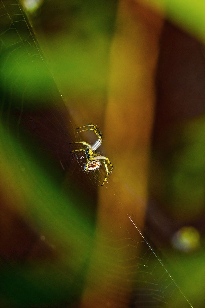 Photograph by Александр Стрельченко