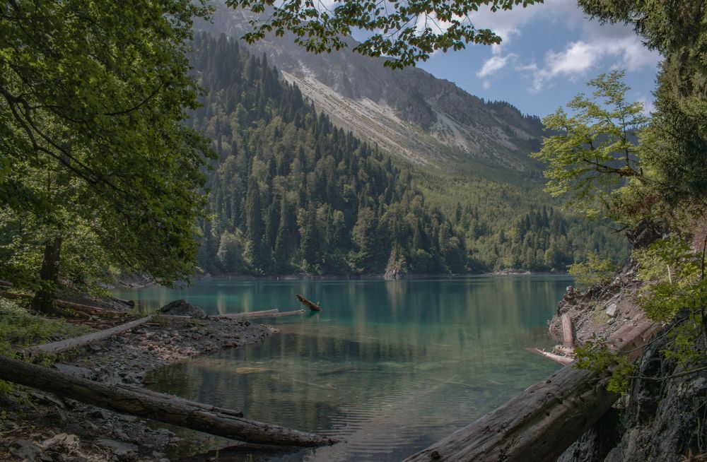 Фотография автора Антон Бразевич