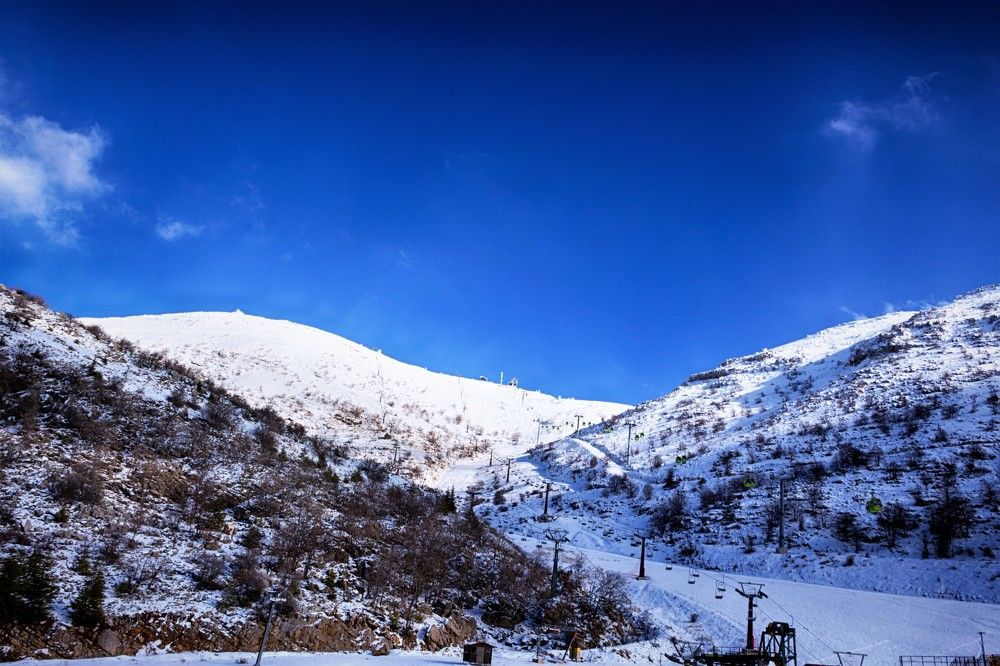 Photograph by Людмила Бутова