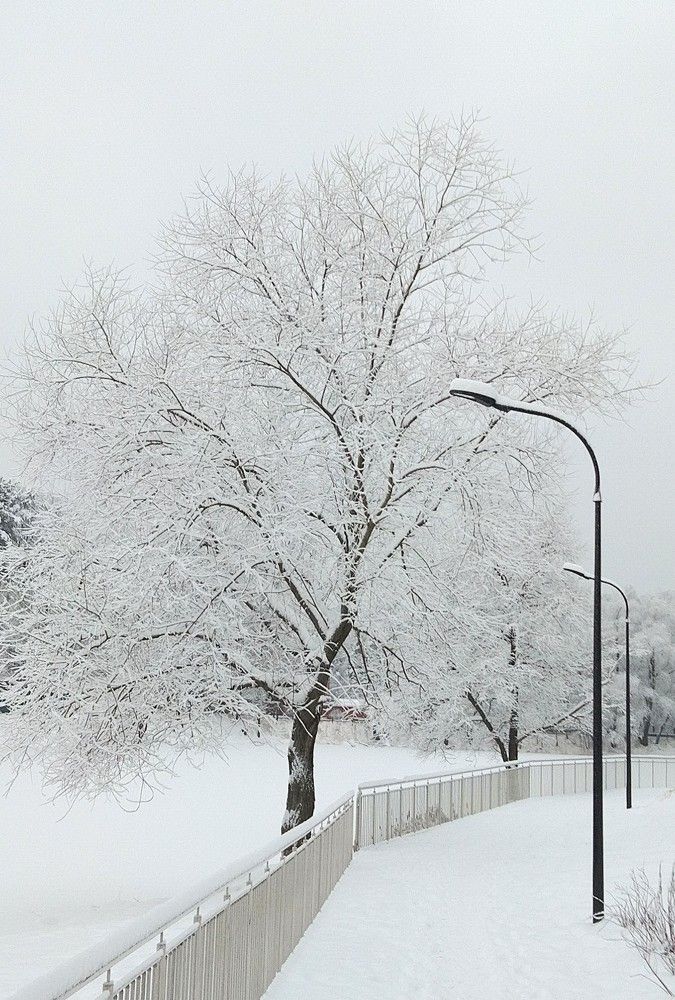 Зимние зарисовки