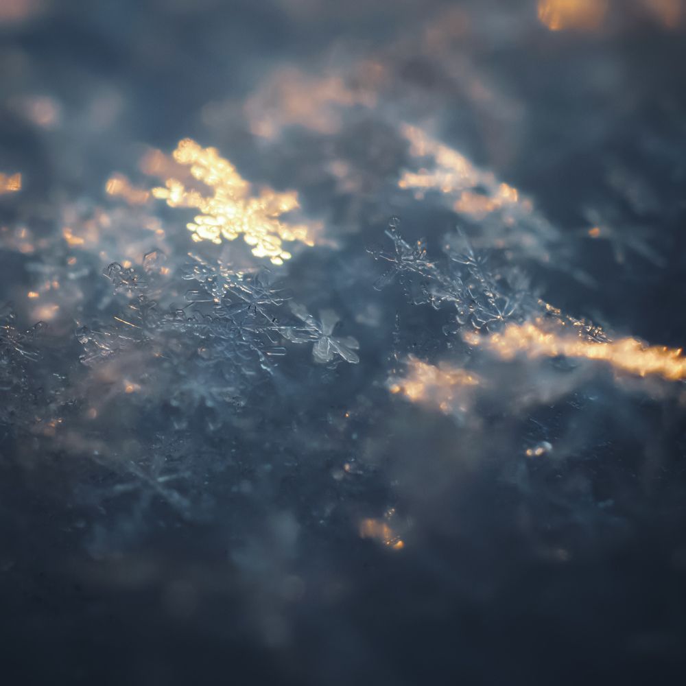 Пока снежинка не растает...