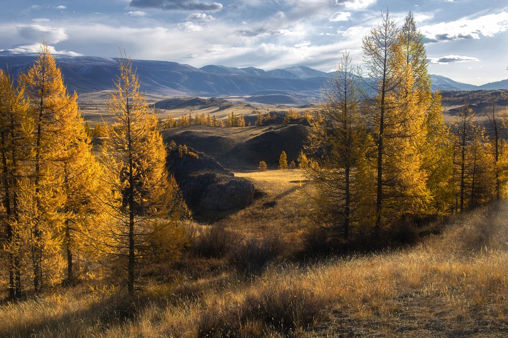 Photograph by Юрий Столыпин