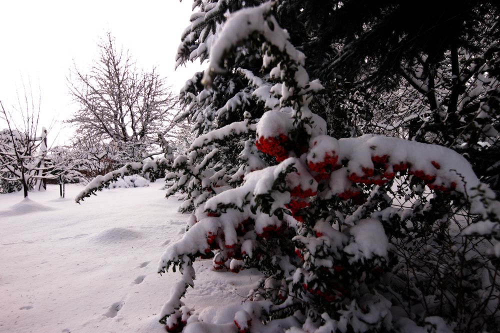 Фотография автора Joe Poldi