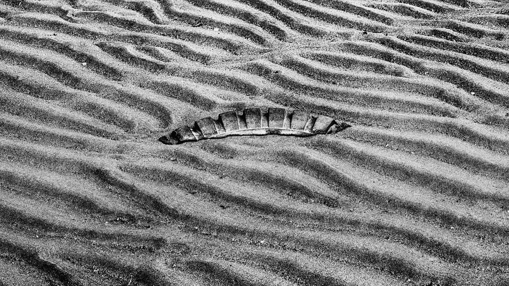 Photograph by Yvon Jolivet