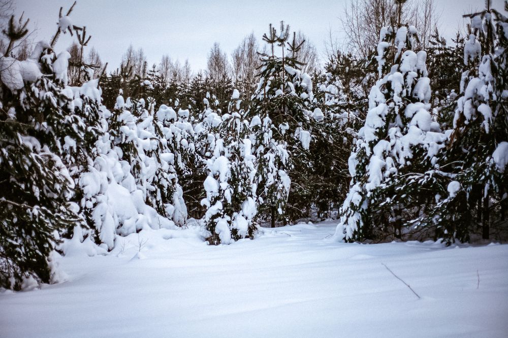 Photograph by Maria Kurakhtanova