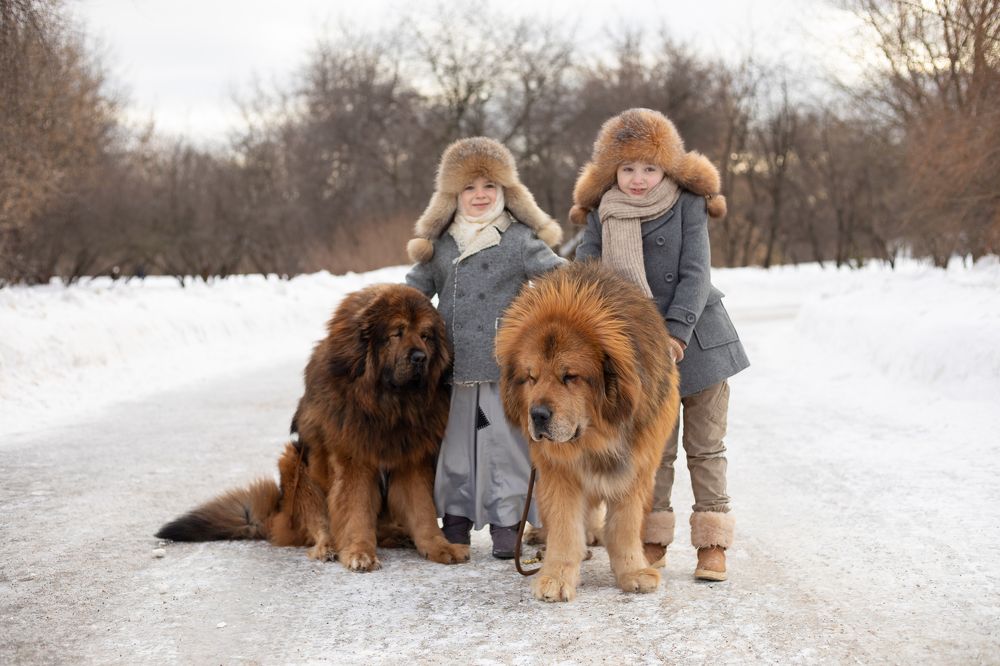 Photograph by Татьяна Скворцова