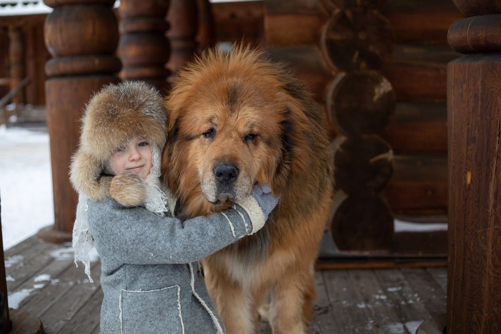 Photograph by Татьяна Скворцова