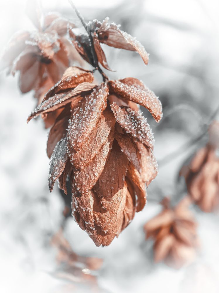 Photograph by Юлия Быкова