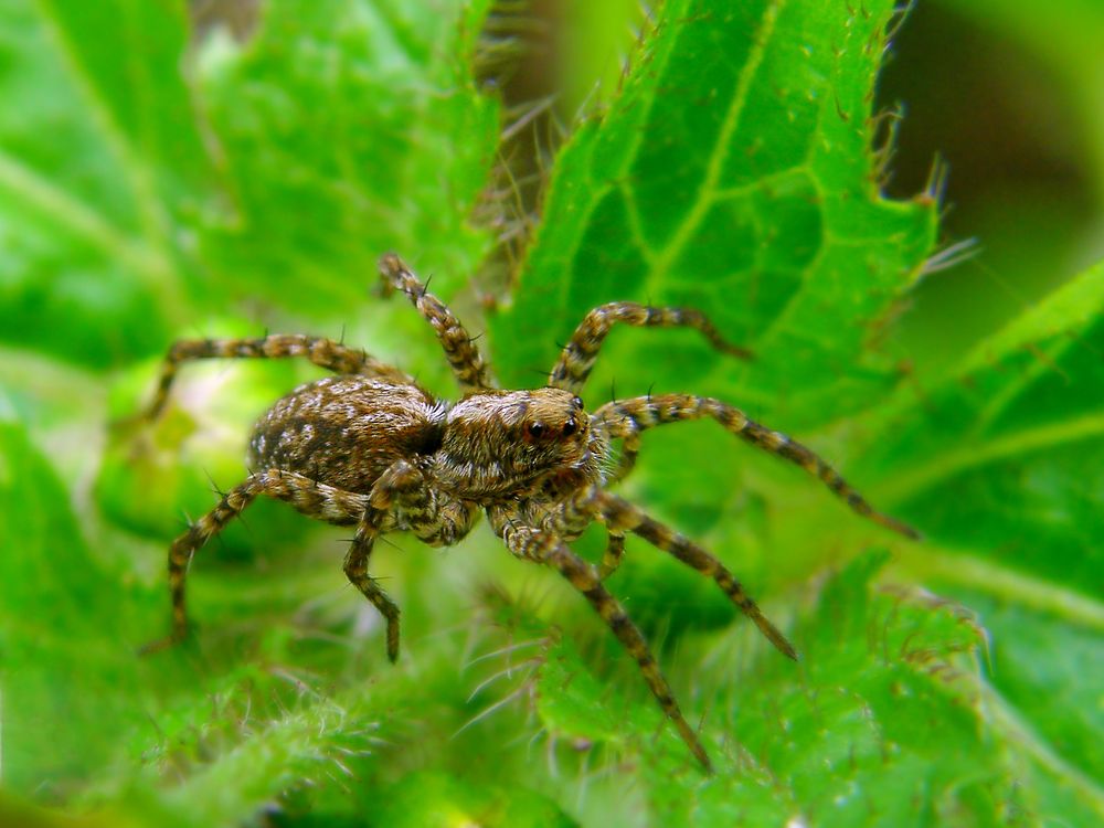 Photograph by Константин Мишнаевский