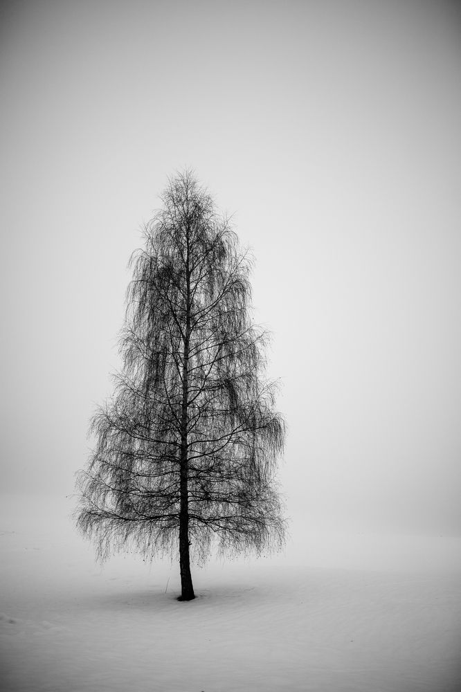 Фотография автора Josef Nový