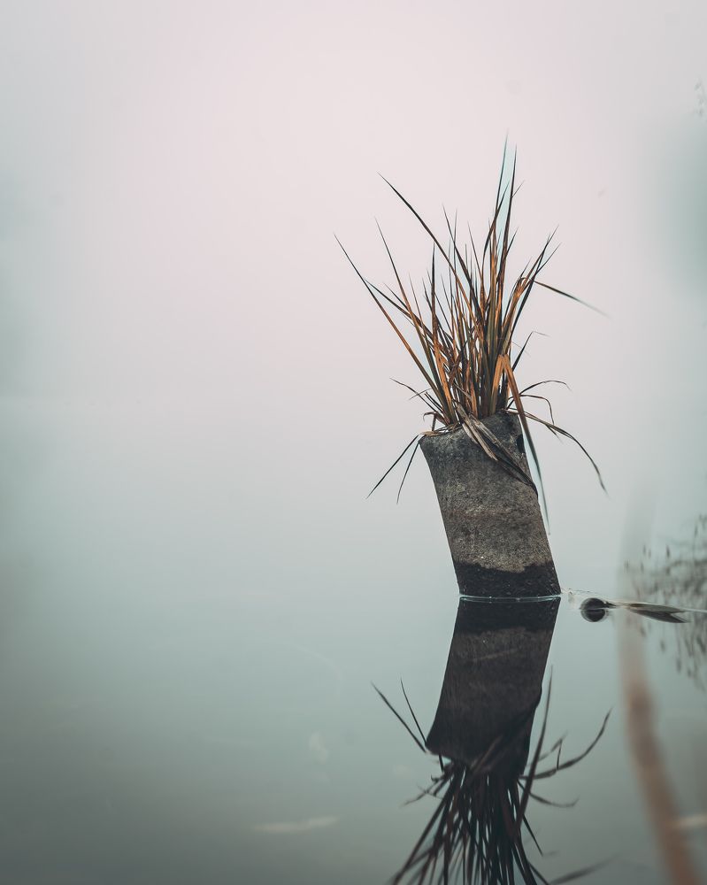 Фотография автора Сергей Костылёв