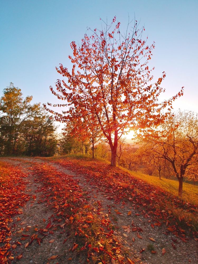 Photograph by Pavel Darius