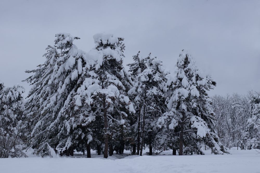 Photograph by Анастасия Слободская
