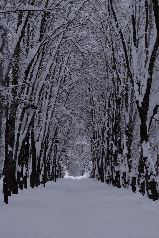 Photograph by Анастасия Слободская