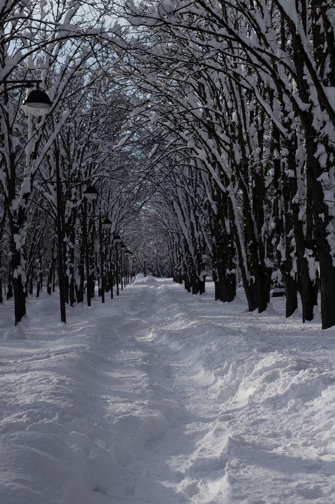 Photograph by Анастасия Слободская