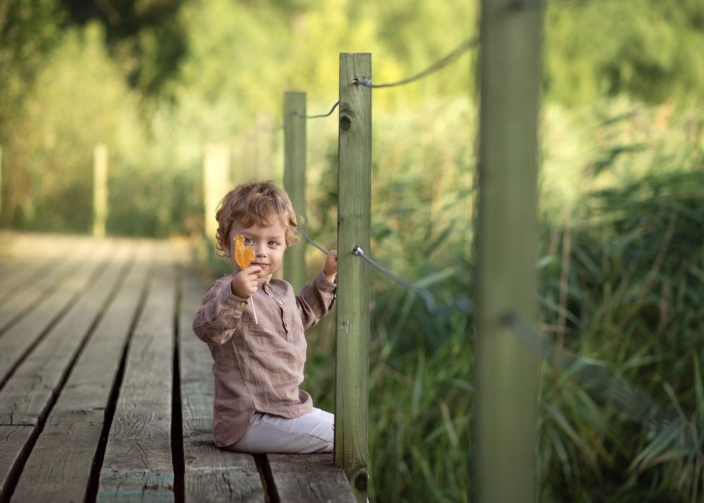 Photograph by Муха Александра