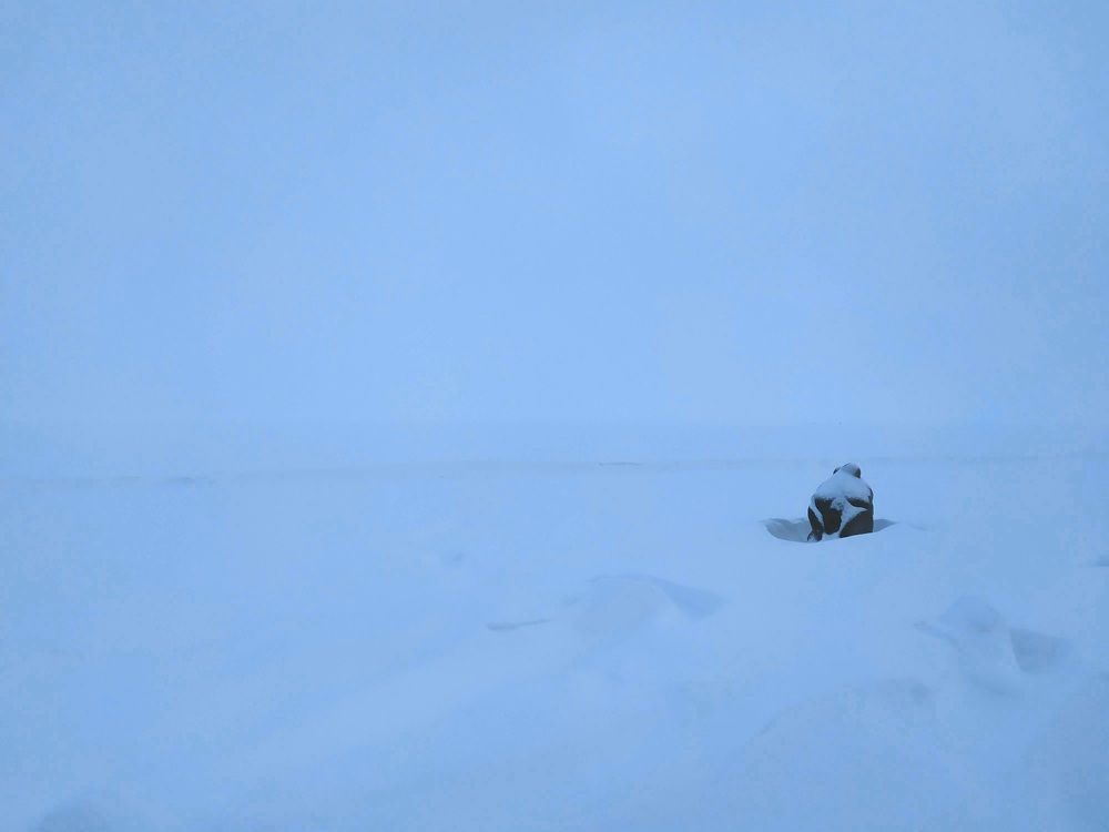 Photograph by Галина Буланова