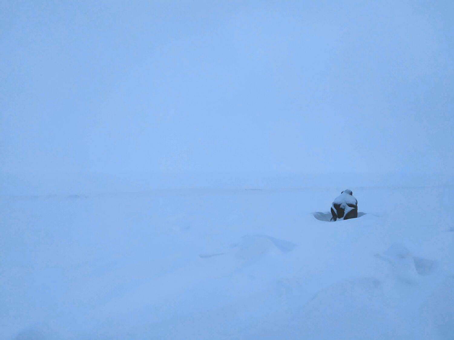 Photo #7080720