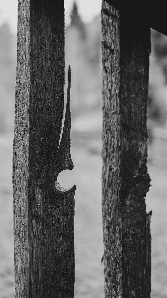 Фотография автора Josef Nový