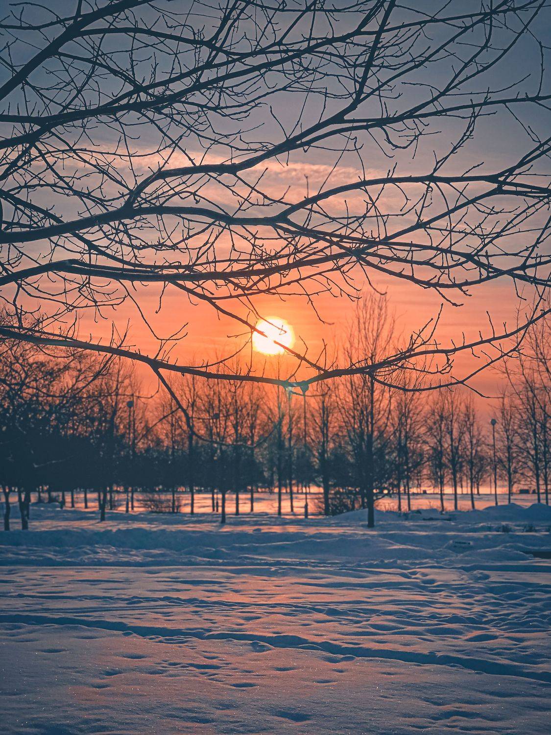 Photo #7080729