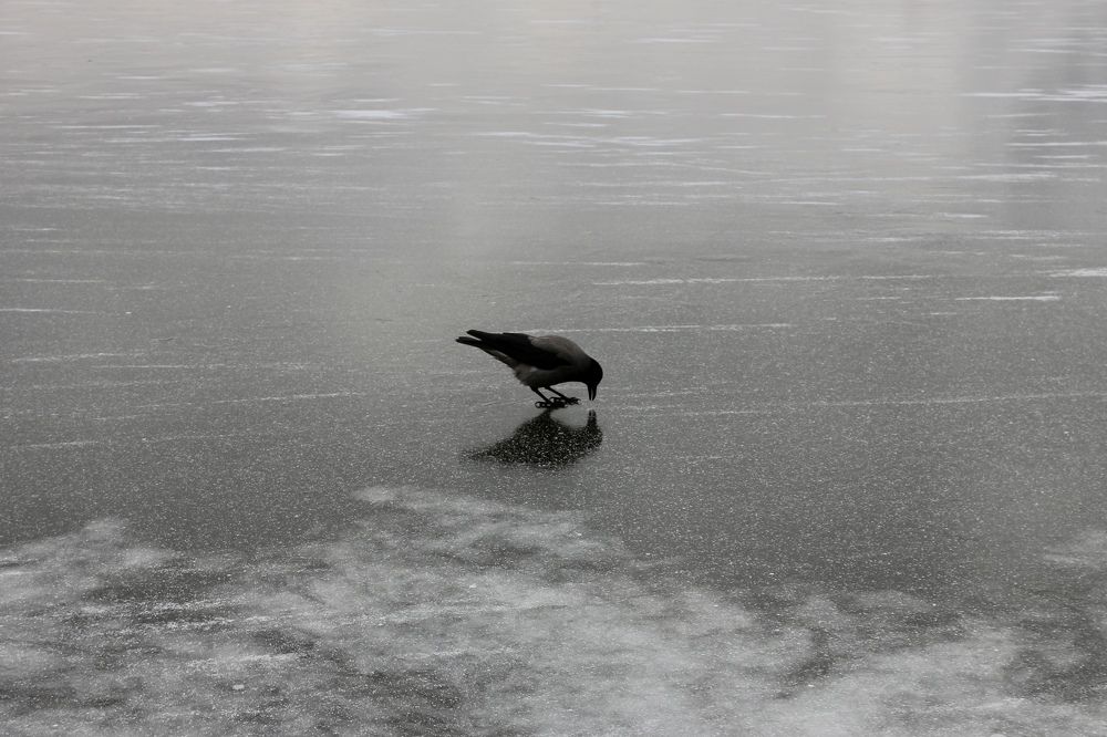 Photograph by Димитрий Осинцев