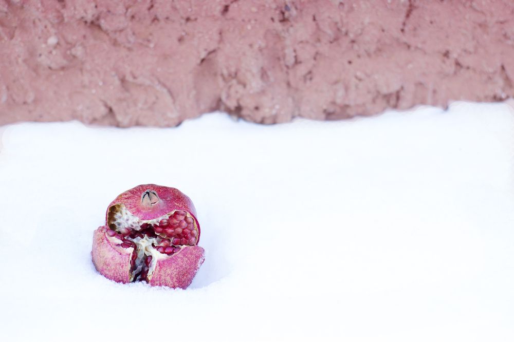 Photograph by Любовь Носова