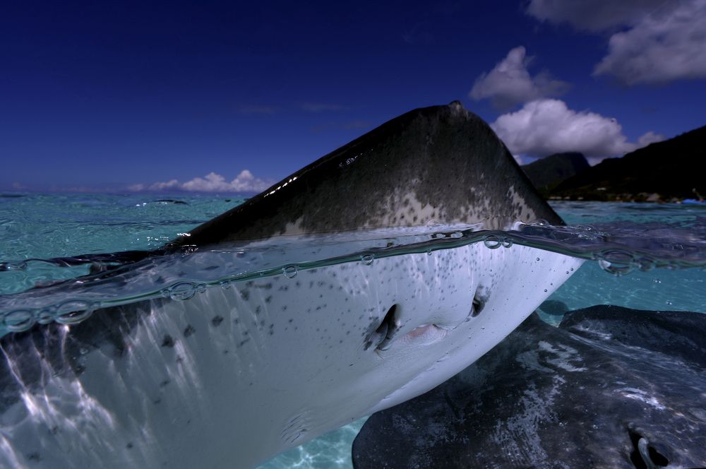 Photograph by daniele comin