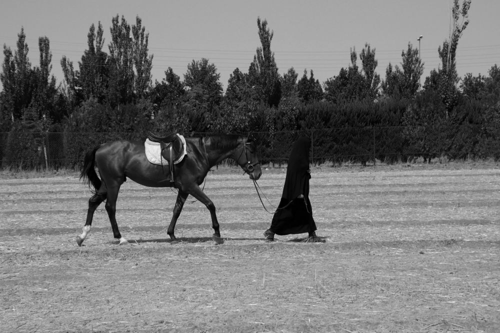 Photograph by Amin moradi